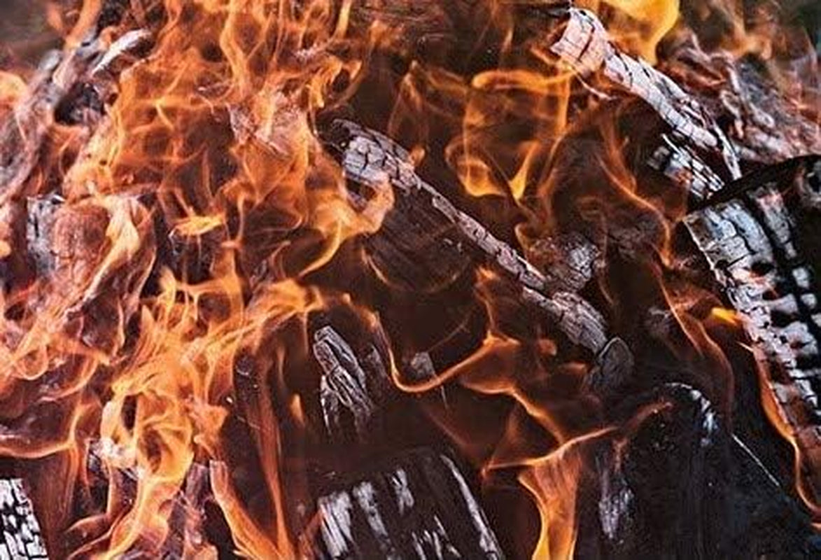 - Kiln Dried Premium USDA Certified Mixed Hardwood Kindling - Rough Cut (8In Pieces) 18-22Lbs